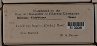 Image Associated With the Occurrence